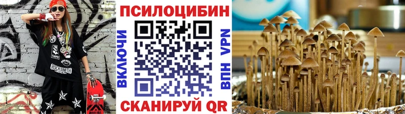 blacksprut онион  Кущёвская  Псилоцибиновые грибы Cubensis 